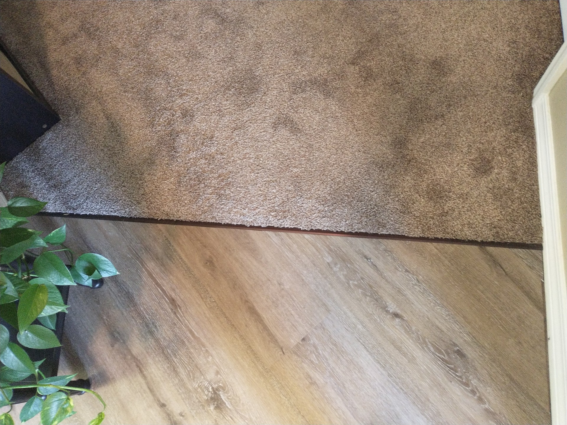 IMG_20210728_101235975_MP Local Flooring Store Foley AL